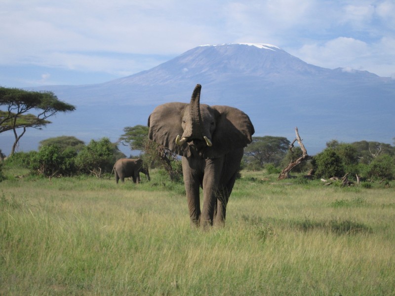 2 Days Nairobi Safari to Amboseli and Kilimanjaro