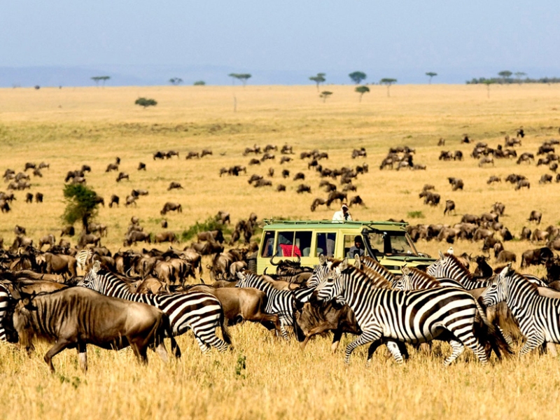 3 Days 2 Nights Nairobi to Samburu National Reserve Kenya Safari