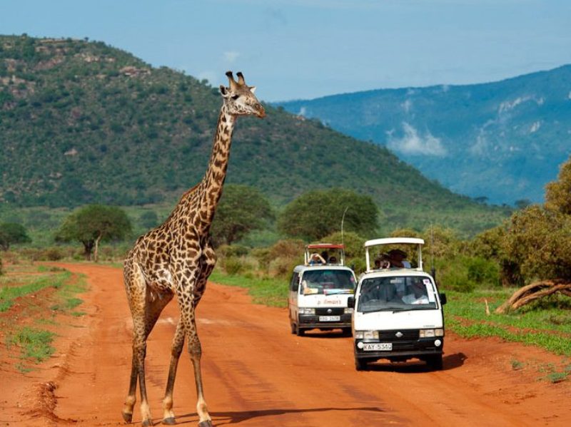 3 Days, 2 Nights Amboseli & Tsavo West Kenya Road Safari